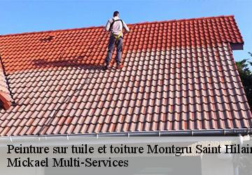 Peinture sur tuile et toiture  montgru-saint-hilaire-02210 Mickael Multi-Services