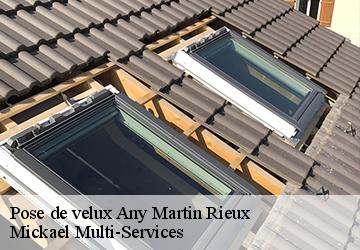 Pose de velux  any-martin-rieux-02500 Mickael Multi-Services
