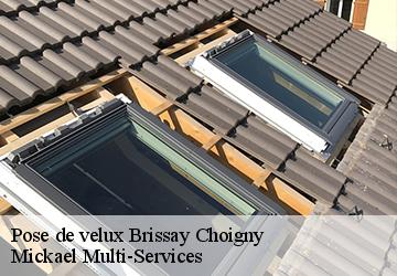 Pose de velux  brissay-choigny-02240 Mickael Multi-Services