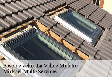 Pose de velux  la-vallee-mulatre-02110 Mickael Multi-Services