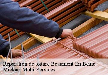 Réparation de toiture  beaumont-en-beine-02300 Mickael Multi-Services