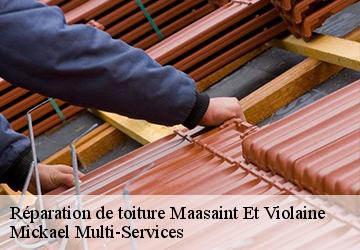 Réparation de toiture  maasaint-et-violaine-02220 Mickael Multi-Services
