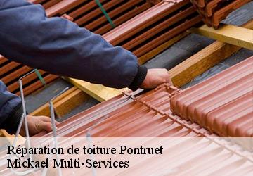 Réparation de toiture  pontruet-02490 Mickael Multi-Services
