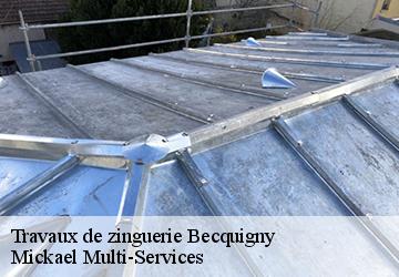 Travaux de zinguerie  becquigny-02110 Mickael Multi-Services