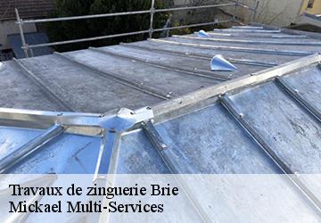 Travaux de zinguerie  brie-02870 Mickael Multi-Services