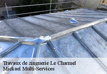 Travaux de zinguerie  le-charmel-02850 Mickael Multi-Services