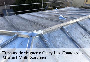 Travaux de zinguerie  cuiry-les-chaudardes-02160 Mickael Multi-Services