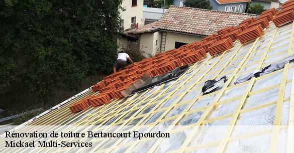 Rénovation de toiture  bertaucourt-epourdon-02800 Mickael Multi-Services