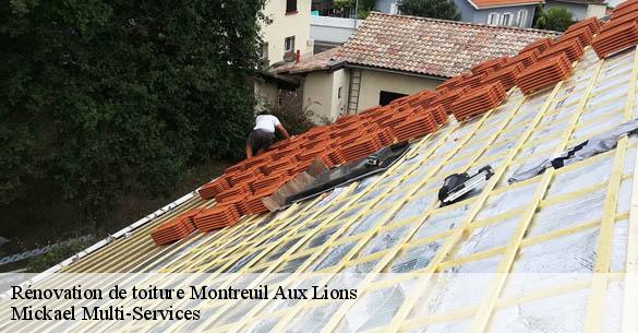 Rénovation de toiture  montreuil-aux-lions-02310 Mickael Multi-Services